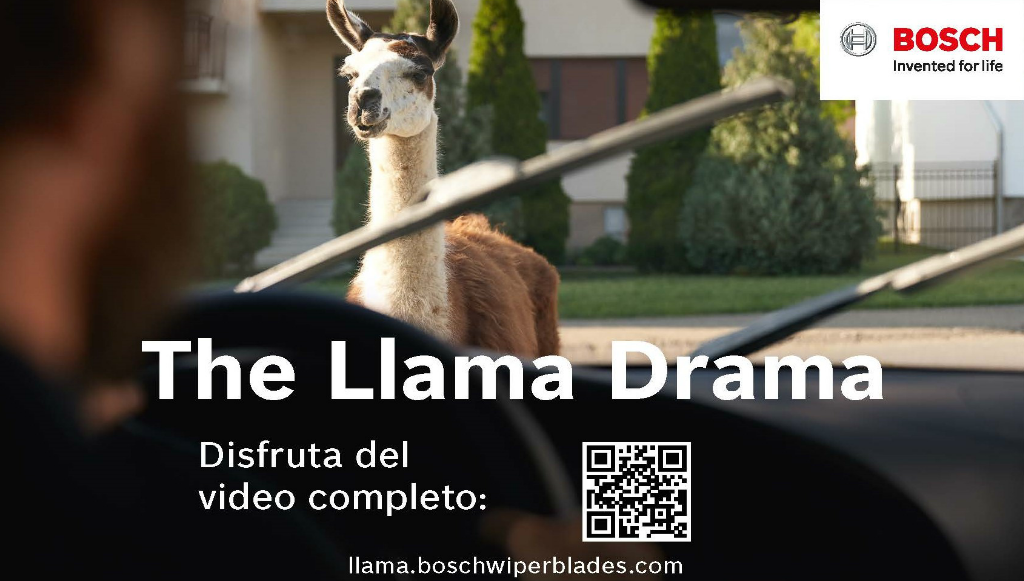 10 - boschlama