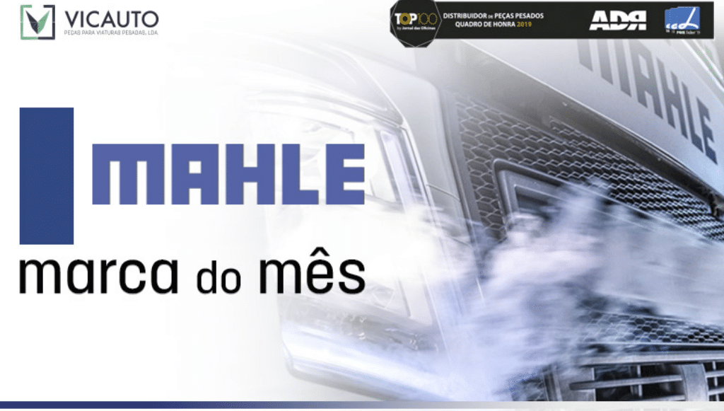 01 - vicautomahle