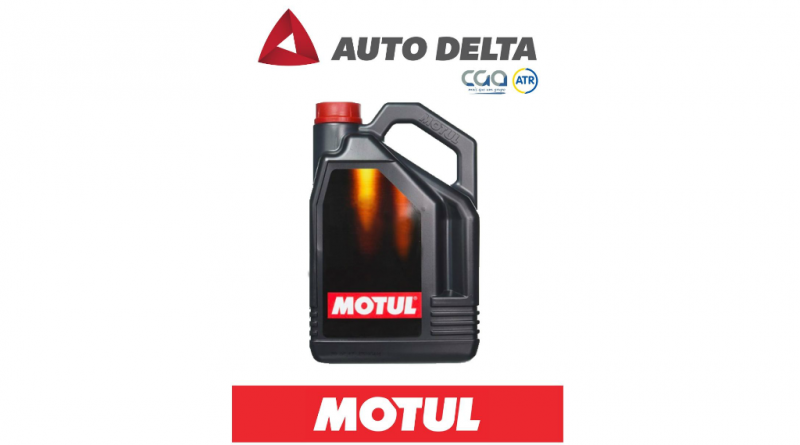 05 - autodeltamotul