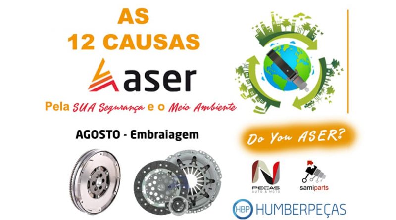 08 - As-12-causas-ASER