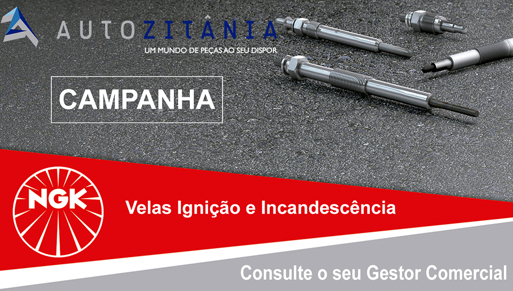 10 - Autozitânia-lança