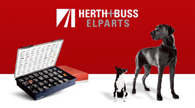 01 - krautli-aumenta-1