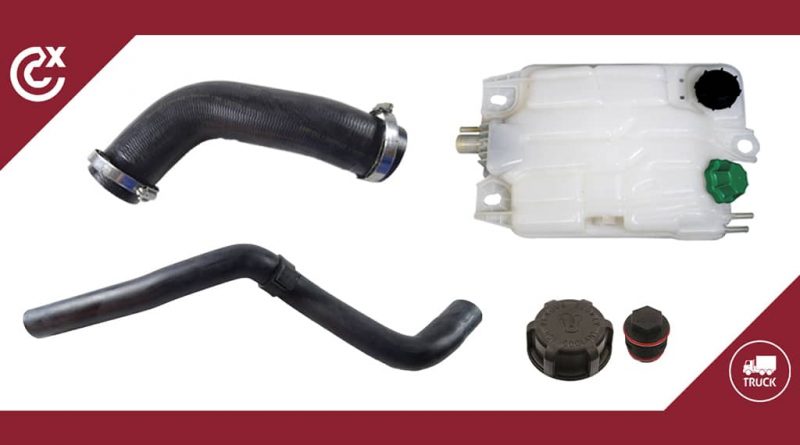 02 - Cautex-reforça