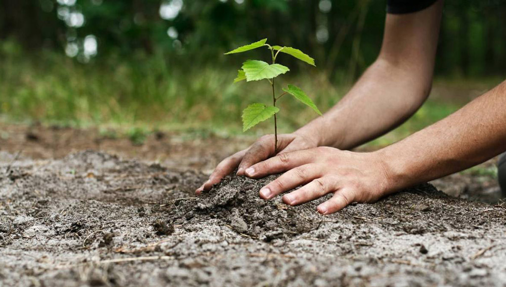 02 - Repsol-convida-portugueses