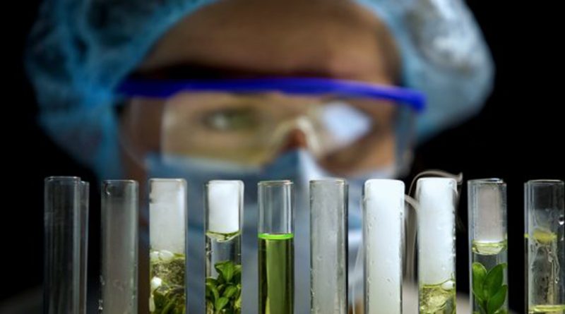 02 - Stex-quer-liderar-produção