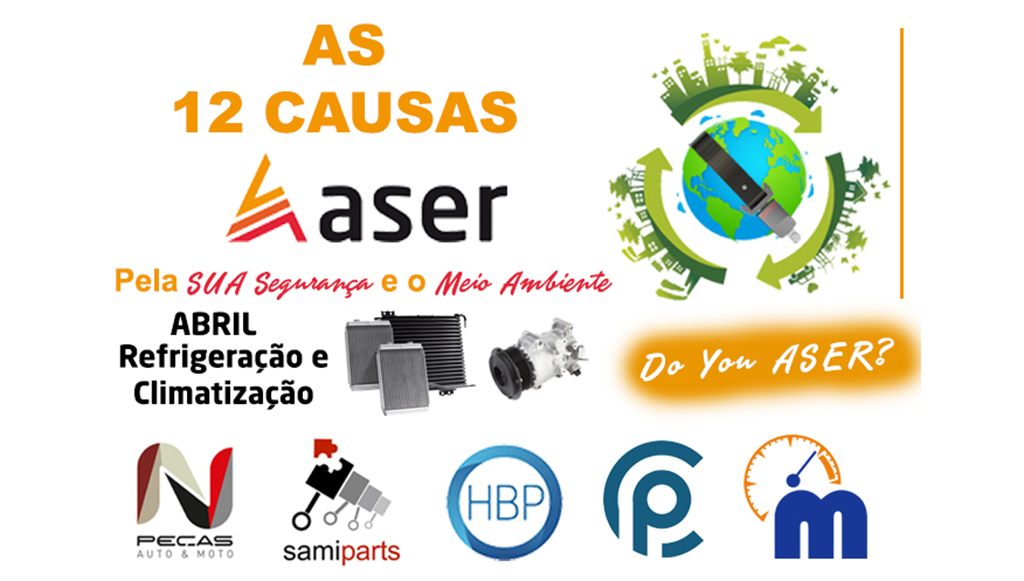 04 - 12-causas-ASER