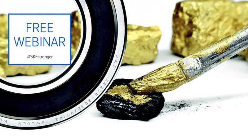 04 - SKF-realiza-Webinar