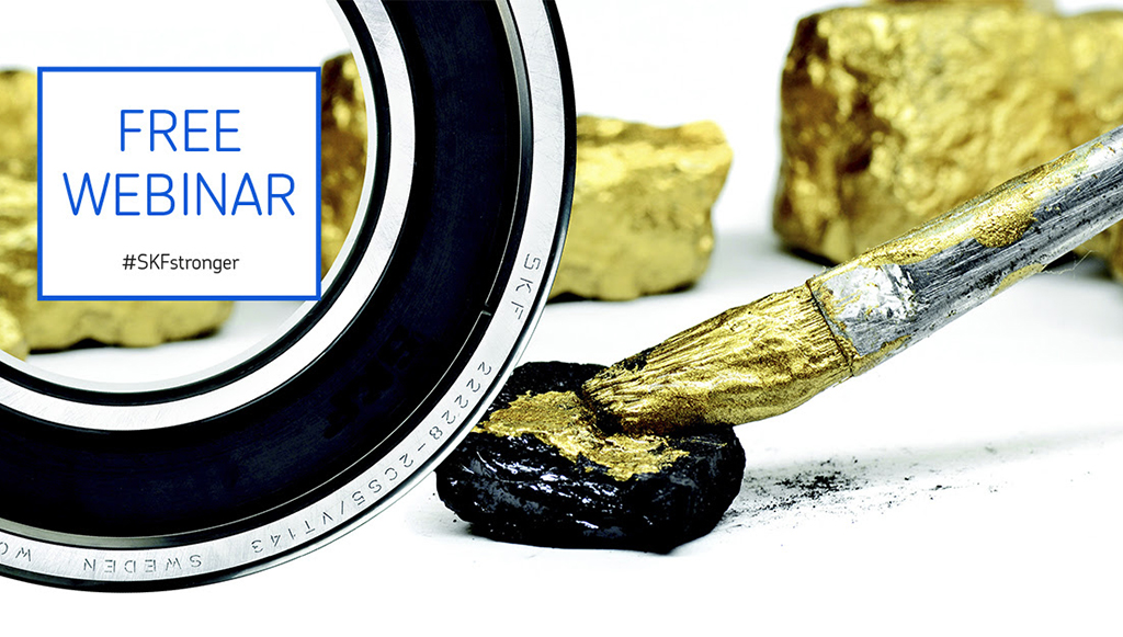 04 - SKF-realiza-Webinar