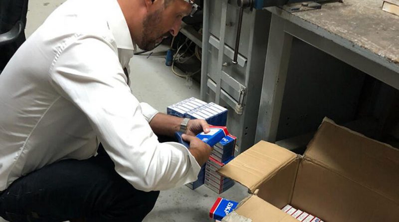 04 - SKF-realizou-Webinar