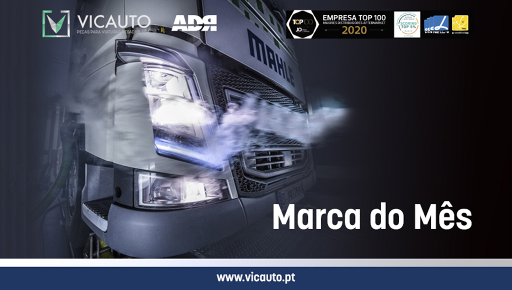 06 - Vicauto-destaca