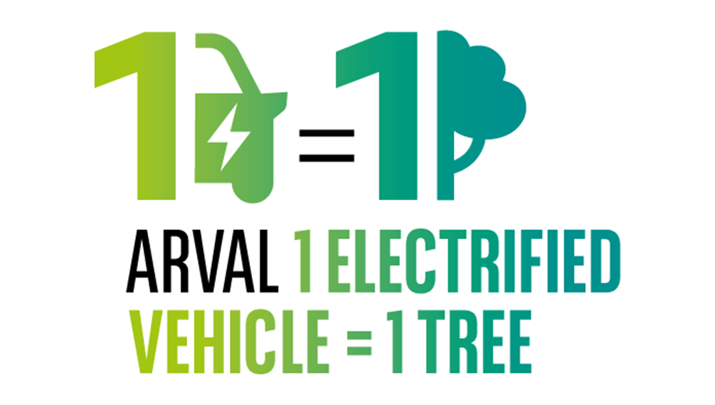 03 - Arval pretende plantar 1800 arvores na Serra de Monchique