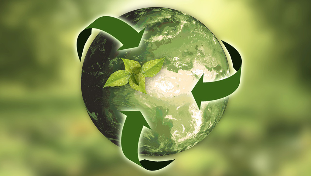 07 - Sustentabilidade é prioridade para jovens portugueses