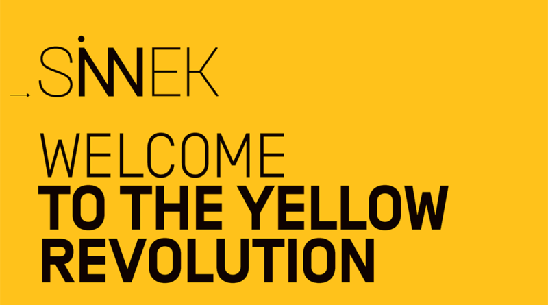 03 - SINNEK procura consultor tecnico para mercado portugues