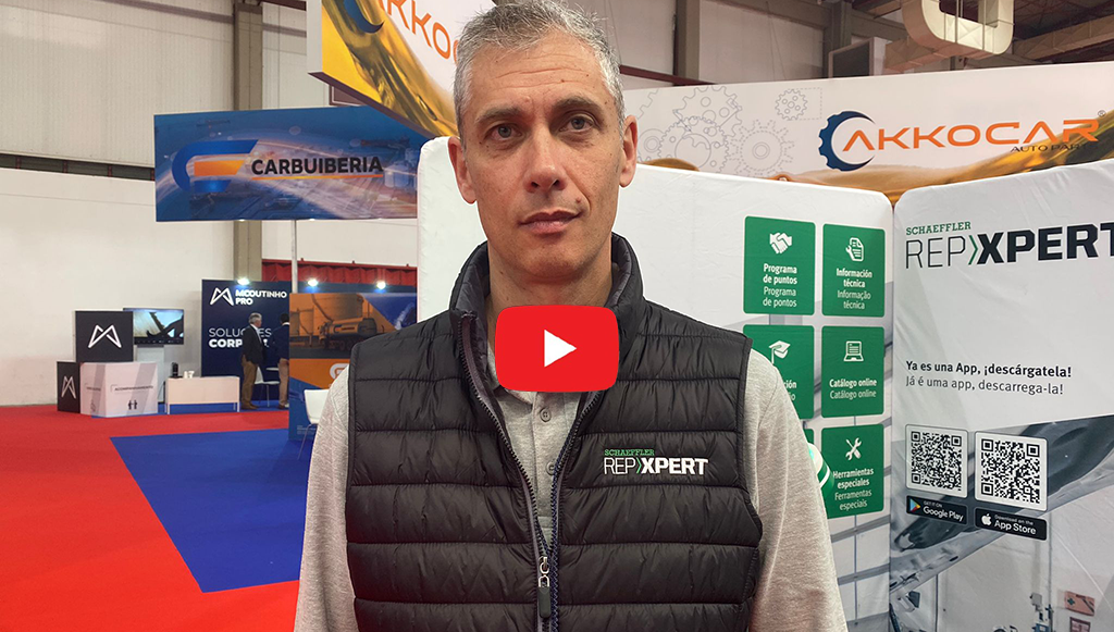 04 - Schaefflercomseta