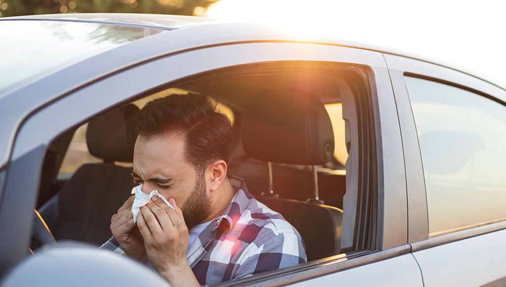02 - Atencao ao polen Espirrar a 80 kmh pode causar perda de visao ate 45 metros