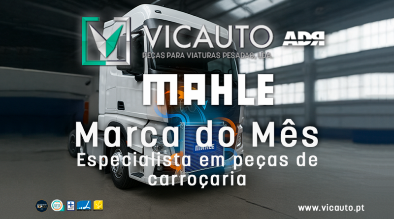 07 - Vicauto