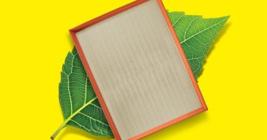 MANN-FILTER alarga gama com filtros de origem vegetal