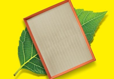 MANN-FILTER alarga gama com filtros de origem vegetal