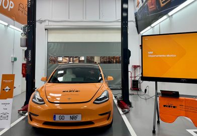 NRF prepara-se para chegar às 18 mil referências em 2026