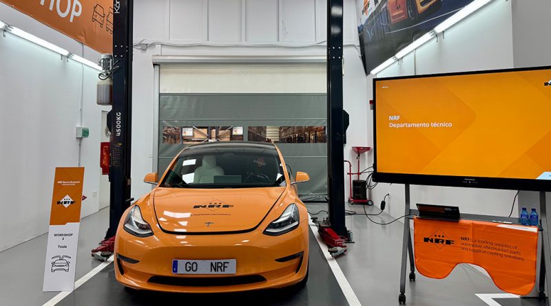 NRF prepara-se para chegar às 18 mil referências em 2026