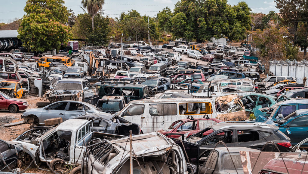 assorted-cars-parked-near-trees-2035016