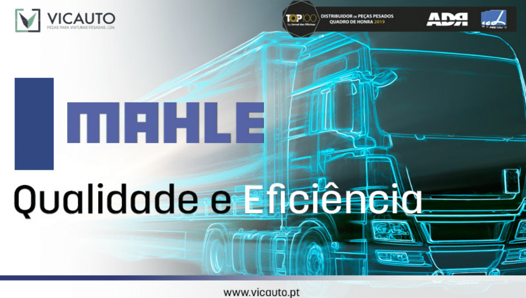 vicautomahlefevereiro