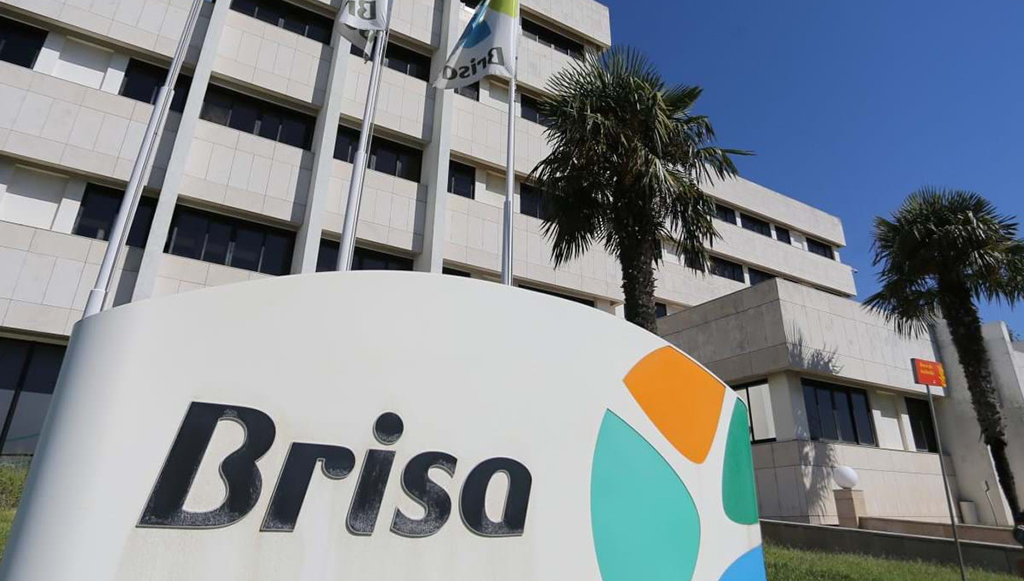 Brisa-investe-55