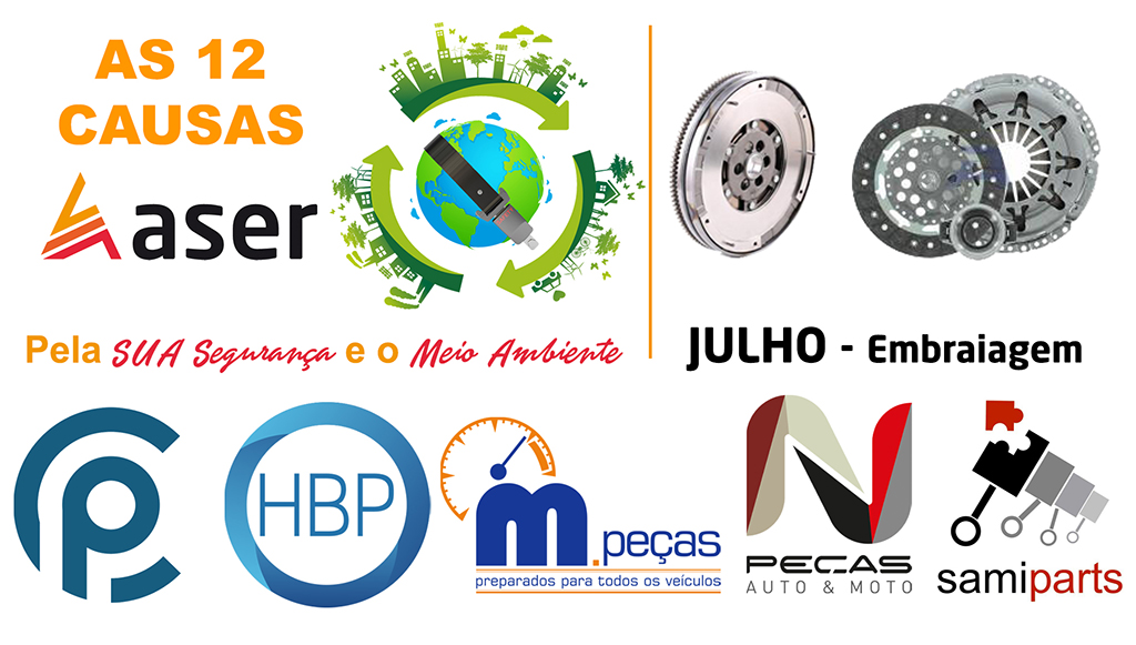 06 - 12-causas-ASER