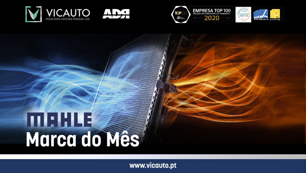 Vicauto-continua-a-destacar