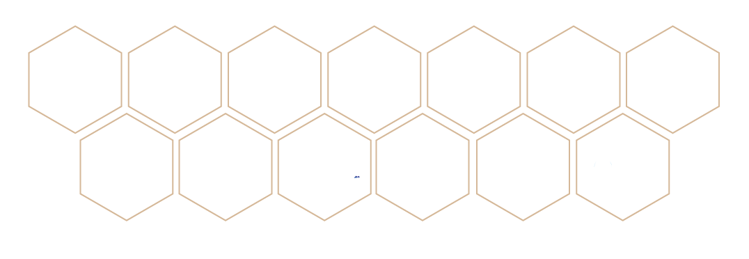 10 - barra_patrocinadores_Gala1
