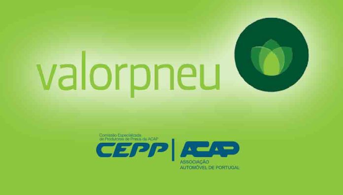 Valorpneu, ACAP e CEPP dão dicas de armazenamento de pneus