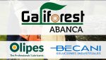 06 - Olipes marca presença na VI edição de Galiforest