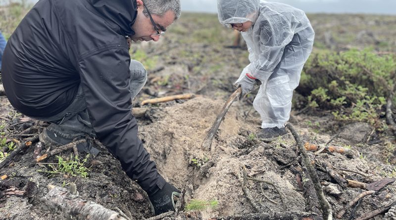 03 - Fundacao Cepsa promove acao de reflorestacao em Leiria