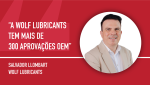 05 - Salvador LLombart Wolf